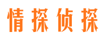 南澳市私家侦探